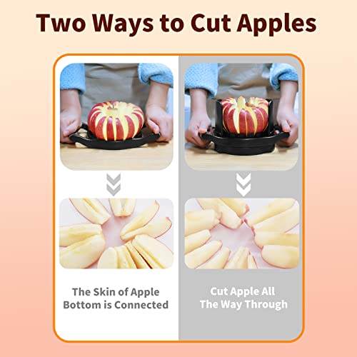 OOKUU Apple Slicer Corer, [Large Size] 16-Blade Heavy Duty Apple Cutter with Base, [Upgraded] Cut Apples All The Way Through, Stainless Steel Ultra-Sharp Blade, Fruits & Vegetables Divider, Wedger