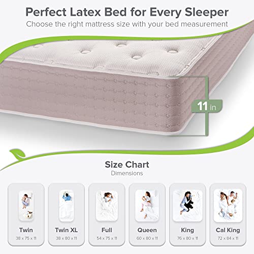 Eco Terra 11 Inch King Natural Latex Hybrid Mattress | Medium Mattress w/Encased Coil Springs