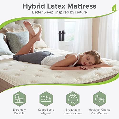 Eco Terra 11 Inch King Natural Latex Hybrid Mattress | Medium Mattress w/Encased Coil Springs