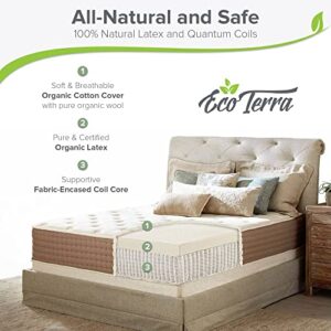 Eco Terra 11 Inch King Natural Latex Hybrid Mattress | Medium Mattress w/Encased Coil Springs