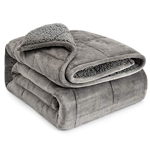 Lofus Sherpa Fleece Weighted Blanket 20 lbs Heavy Blanket with Soft Plush Flannel Reversible Full-Size Super Soft Extra Warm Cozy Fluffy Blanket 60 x 80 inches for Adult Bed Couch, Grey