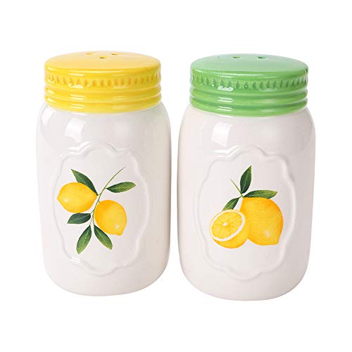 White Ceramic Novelty CosyLem Salt and Pepper Shakers Set of 2 for Vintage Pioneer Woman Popcorn Farmhouse Camping