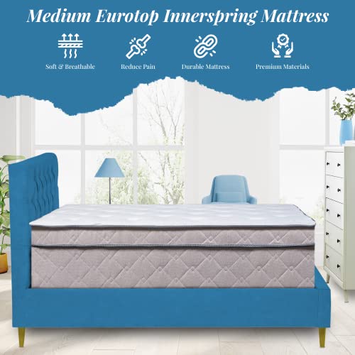 Greaton 13" Extra Plush Bed Mattress, Comfortable Supportive Eurotop Foam Encased Mattresses for Better Body Posture and Positioning, Relieves Pain and Aches, Twin