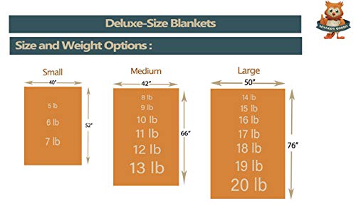 SENSORY GOODS Young Adult - Deluxe - Made in America - Medium Weighted Blanket 10lb Medium Pressure - Dwight Pattern - Fleece/Flannel (66" x 42") Provides Comfort and Relaxation.