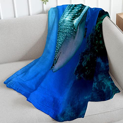 Lightweight Fleece Blanket for Sofa,Fish Coral Ocean Shark,Soft Blanket and Throw Blankets for Bed Couch