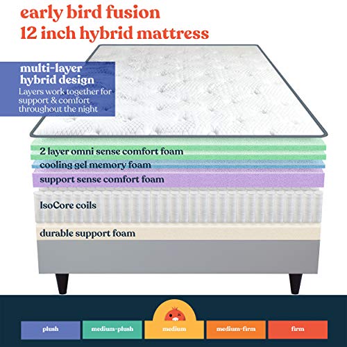 EARLY BIRD Fusion 12 Inch Hybrid Mattress, Queen, Supportive Memory Foam Comfort