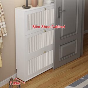 Slim Shoe Cabinet, Free Standing Shoe Racks, Shoe Storage for Entryway, Shoe Cabinet with Doors (Color : A, Size : 19.69in)