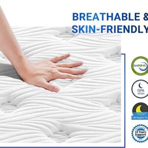 Avenco Queen Size Mattress, Queen Mattress in a Box, 10 Inch Hybrid Mattress Queen, Individually Pocketed Coils and Comfort Foam, Strong Edge Support, Medium Firm, CertiPUR-US, 100 Nights Trial