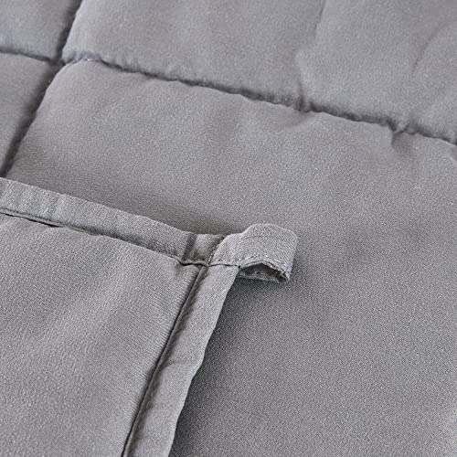 Seward Park Weighted Blanket with Removable Cover, 15lb, Full/Queen Size Bed, for Individual Between 140-190 lbs, Navy