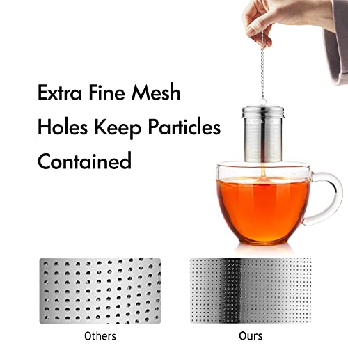 House Again 2 Pack Tea Infuser, Extra Fine Mesh Tea Infusers for Loose Tea, 18/8 Stainless Steel Tea Strainer with Extended Chain Hook, Tea Steeper for Brew Tea, Spices & Seasonings