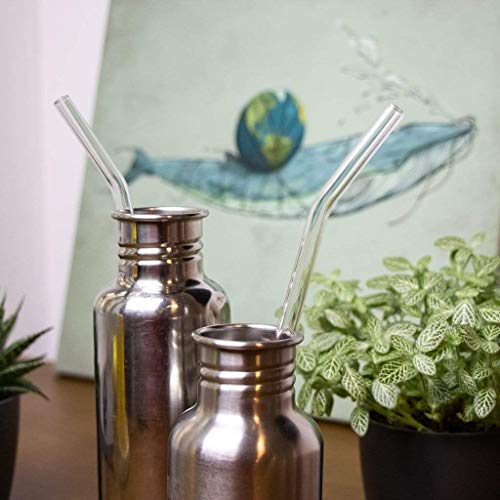 Halm Glass Straws - 6 Long 12 inch Bent Reusable Drinking Straws + Plastic-Free Cleaning Brush - Perfect for Bottles - 30 cm Made in Germany - Dishwasher Safe - Eco-Friendly