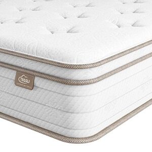 teqsli queen mattress 12 inch, cool eggshell memory foam and 7 zone pocket innerspring hybrid mattress in a box, pressure relief & supportive queen bed mattress, breathable cover, 100 nights trial