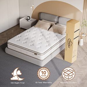 TeQsli Queen Mattress 12 Inch, Cool Eggshell Memory Foam and 7 Zone Pocket Innerspring Hybrid Mattress in a Box, Pressure Relief & Supportive Queen Bed Mattress, Breathable Cover, 100 Nights Trial