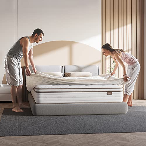 TeQsli Queen Mattress 12 Inch, Cool Eggshell Memory Foam and 7 Zone Pocket Innerspring Hybrid Mattress in a Box, Pressure Relief & Supportive Queen Bed Mattress, Breathable Cover, 100 Nights Trial