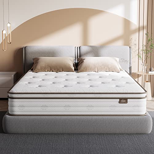 TeQsli Queen Mattress 12 Inch, Cool Eggshell Memory Foam and 7 Zone Pocket Innerspring Hybrid Mattress in a Box, Pressure Relief & Supportive Queen Bed Mattress, Breathable Cover, 100 Nights Trial
