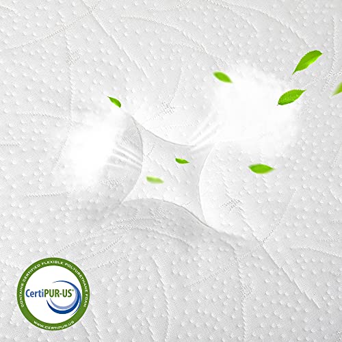 TeQsli Queen Mattress 12 Inch, Cool Eggshell Memory Foam and 7 Zone Pocket Innerspring Hybrid Mattress in a Box, Pressure Relief & Supportive Queen Bed Mattress, Breathable Cover, 100 Nights Trial