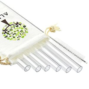 alink reusable clear smoothie straws, 10 in x 10 mm jumbo tritan hard plastic drinking straws, individually wrapped, pack of 6 with cleaning brush and carrying case