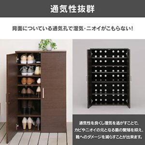 アイリスプラザ(IRIS PLAZA) Shoe Box, 5 Tiers, Width 23.6 x Depth 13.7 x Height 35.4 inches (60 x 34.9 x 90 cm), Movable Shelf,