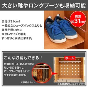 アイリスプラザ(IRIS PLAZA) Shoe Box, 5 Tiers, Width 23.6 x Depth 13.7 x Height 35.4 inches (60 x 34.9 x 90 cm), Movable Shelf,