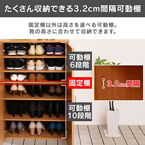 アイリスプラザ(IRIS PLAZA) Shoe Box, 5 Tiers, Width 23.6 x Depth 13.7 x Height 35.4 inches (60 x 34.9 x 90 cm), Movable Shelf,