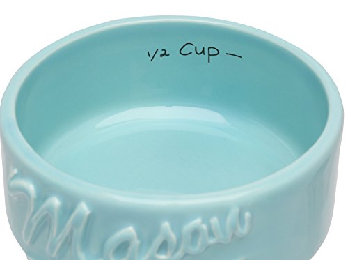 Sparrow Decor Mason Jar Measuring Cups Set - Set of 4 Ceramic Measuring Cups (1/4, 1/3, 1/2, 1 Cup) in Rustic, Antique, Farmhouse Design Perfect for Your Kitchen (Blue)