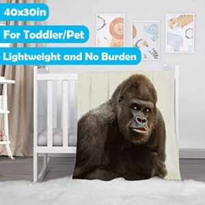 Gorilla Animal Blanket Bedding Throw Super Soft Cozy Flannel Plush Blanket Size for Boy Girl Adults Couch Sofa 80"x60" Large for Adult