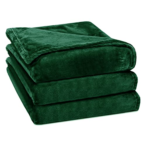 Rerelife Soft Fleece Throw Blanket, Throw Plush Cozy Thick Flannel 350GSM Lightweight Blanket for Couch Bed Sofa (Dark Green, 40x60 Inches)