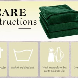 Rerelife Soft Fleece Throw Blanket, Throw Plush Cozy Thick Flannel 350GSM Lightweight Blanket for Couch Bed Sofa (Dark Green, 40x60 Inches)