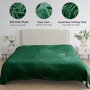 Rerelife Soft Fleece Throw Blanket, Throw Plush Cozy Thick Flannel 350GSM Lightweight Blanket for Couch Bed Sofa (Dark Green, 40x60 Inches)