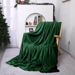 Rerelife Soft Fleece Throw Blanket, Throw Plush Cozy Thick Flannel 350GSM Lightweight Blanket for Couch Bed Sofa (Dark Green, 40x60 Inches)