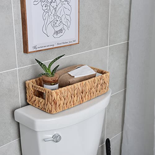 StorageWorks Seagrass Baskets with Built-in Handles + Water Hyacinth Basket for Toilet Paper