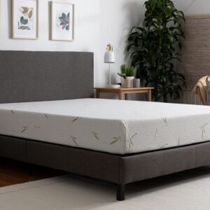 Tulo 8" Medium Comfort Memory Foam Bamboo Pressure Relief Mattress in a Box | Queen Size