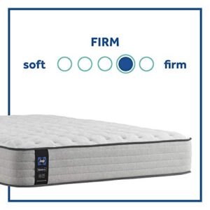 Sealy Posturepedic Spring Summer Rose Firm Feel Mattress and 5-Inch Foundation, Queen