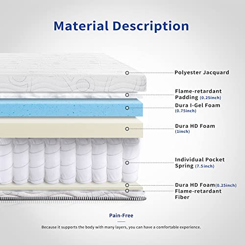 Olee Sleep 10 in Omega Hybrid Spring Mattress Twin 10SM02T