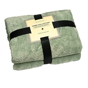 Devirld Fleece Blanket Soft Throw Blanket Fluffy Blankets Warm Plush Cozy Throws for Couch Sofa Bed, Mint Green, Throw(50"x60")