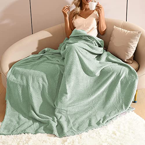 Devirld Fleece Blanket Soft Throw Blanket Fluffy Blankets Warm Plush Cozy Throws for Couch Sofa Bed, Mint Green, Throw(50"x60")