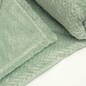 Devirld Fleece Blanket Soft Throw Blanket Fluffy Blankets Warm Plush Cozy Throws for Couch Sofa Bed, Mint Green, Throw(50"x60")