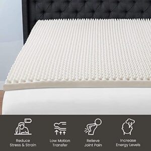 Treaton 2-inch Soft Foam Toppers with Convoluted Egg Shell Design | Extends Mattress Topper Life, Provides Proper Back Support and Relieves Pain, Improves Better Posture, Queen, Off-White