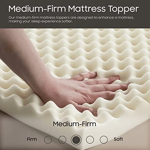 Treaton 2-inch Soft Foam Toppers with Convoluted Egg Shell Design | Extends Mattress Topper Life, Provides Proper Back Support and Relieves Pain, Improves Better Posture, Queen, Off-White