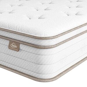 TeQsli Queen Mattress 10 Inch, Cool Eggshell Memory Foam and 7 Zone Pocket Innerspring Hybrid Mattress in a Box, Pressure Relief & Supportive Queen Bed Mattress, Breathable Cover, 100 Nights Trial