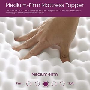 Mayton 1-Inch High Density Convoluted Egg Shell Breathable Foam Topper,Adds Comfort to Mattress, Queen Size