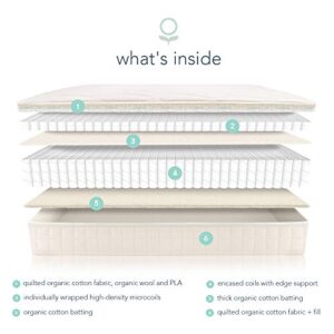 Naturepedic Chorus Organic Mattress, Medium Firm Mattress for Universal Comfort, Encased Coil Layers, Queen