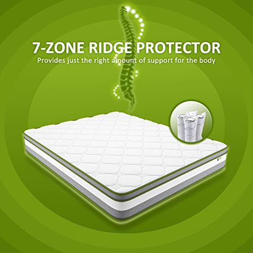 Crystli Twin Mattress, 10 inch Twin Size Mattress Hybrid Mattress Medium Firm with Memory Foam & Individually Wrapped Coils Innerspring Bed Mattress for Body Support, CertiPUR-US Certified