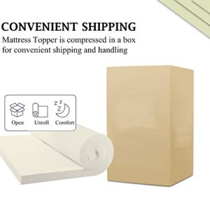 Mattress Solution 2-Inch High Density Foam Topper,Adds Comfort to Mattress, Twin, white