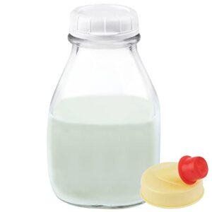 kitchentoolz 16 oz glass milk and creamer bottle with caps - perfect milk container for refrigerator storage - 16 ounce short and wide glass milk bottle with tamper proof lid and pour spout - pack of 1