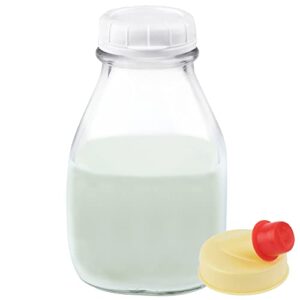 Kitchentoolz 16 Oz Glass Milk and Creamer Bottle with Caps - Perfect Milk Container for Refrigerator Storage - 16 Ounce Short and Wide Glass Milk Bottle with Tamper Proof Lid and Pour Spout - Pack of 1