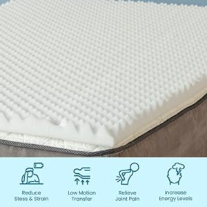 Zutan 2-inch Comfortable Convoluted Egg Shell Breathable Foam Bed Topper | Help Reduce Back Pain and Improve Sleeping Posture, Relaxing Orthopedic Mattress Toppers with Optimum Support, Twin, White