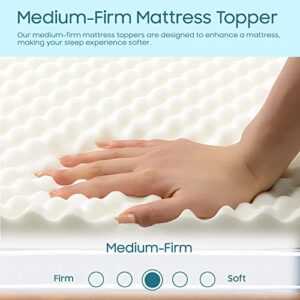 Zutan 2-inch Comfortable Convoluted Egg Shell Breathable Foam Bed Topper | Help Reduce Back Pain and Improve Sleeping Posture, Relaxing Orthopedic Mattress Toppers with Optimum Support, Twin, White