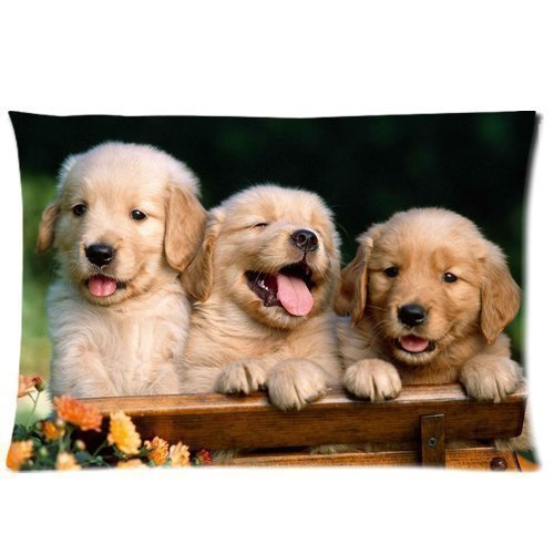 TSlook 60x80 Blankets 3 Cute Golden Retrievers, Fogs, Wildflowers