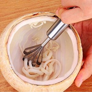 Alwaysuc Stainless Steel Coconut Meat Removal Knife, Multi-Purpose Stainless steel planer